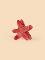 Starfish Claw - Medium