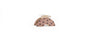 Polka Dot Hair Claw - Small