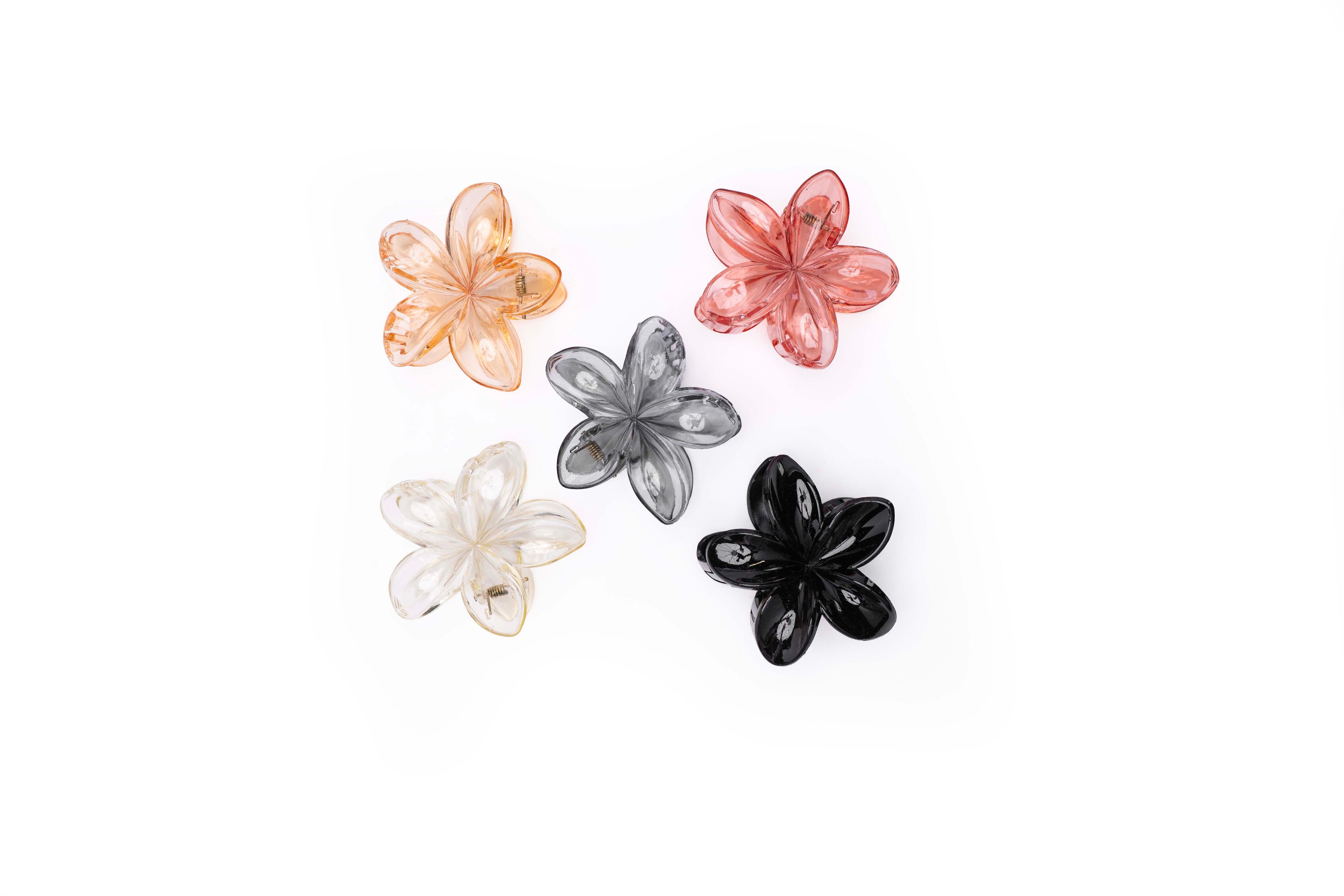 Transparent Floral - Large