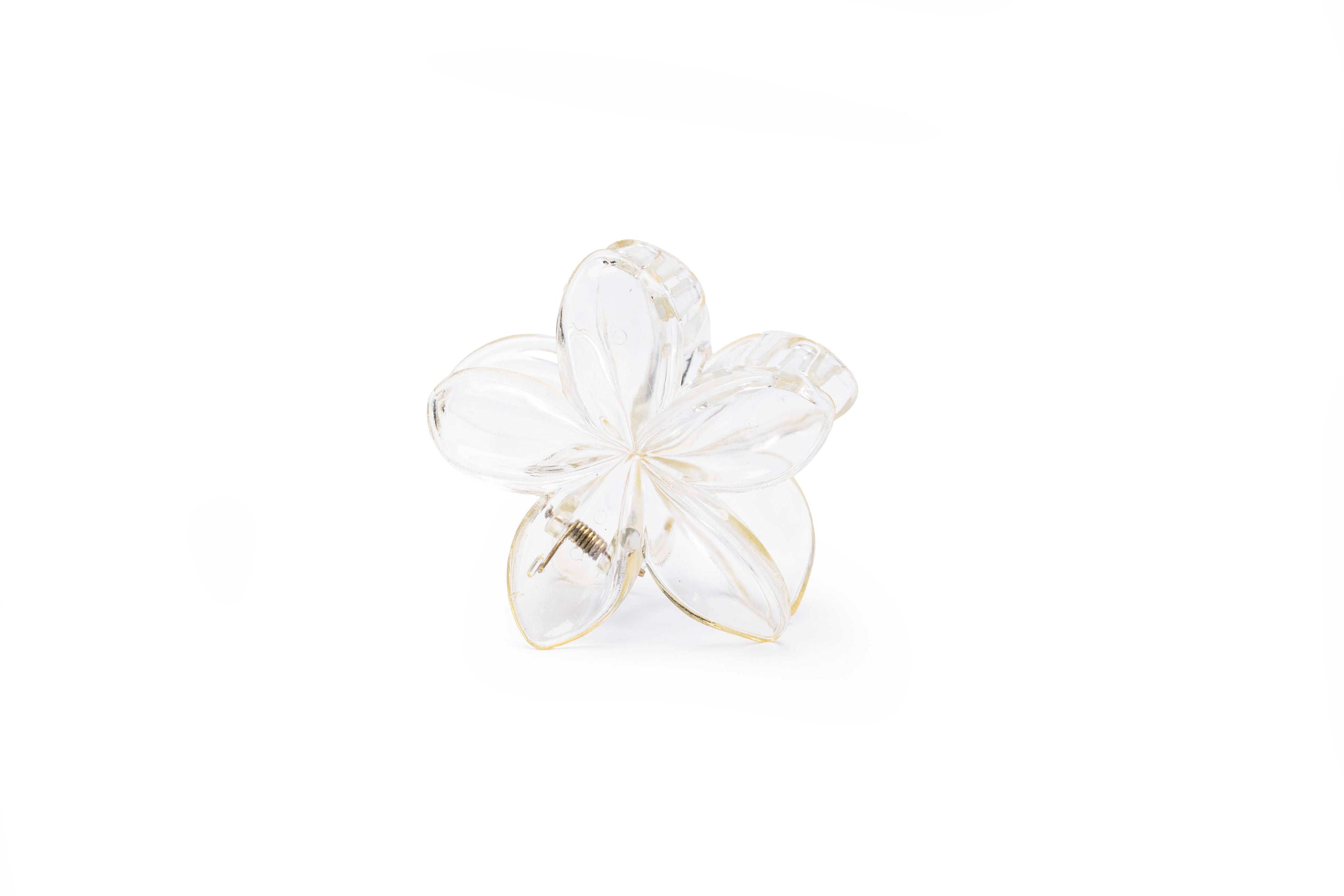 Transparent Floral - Large