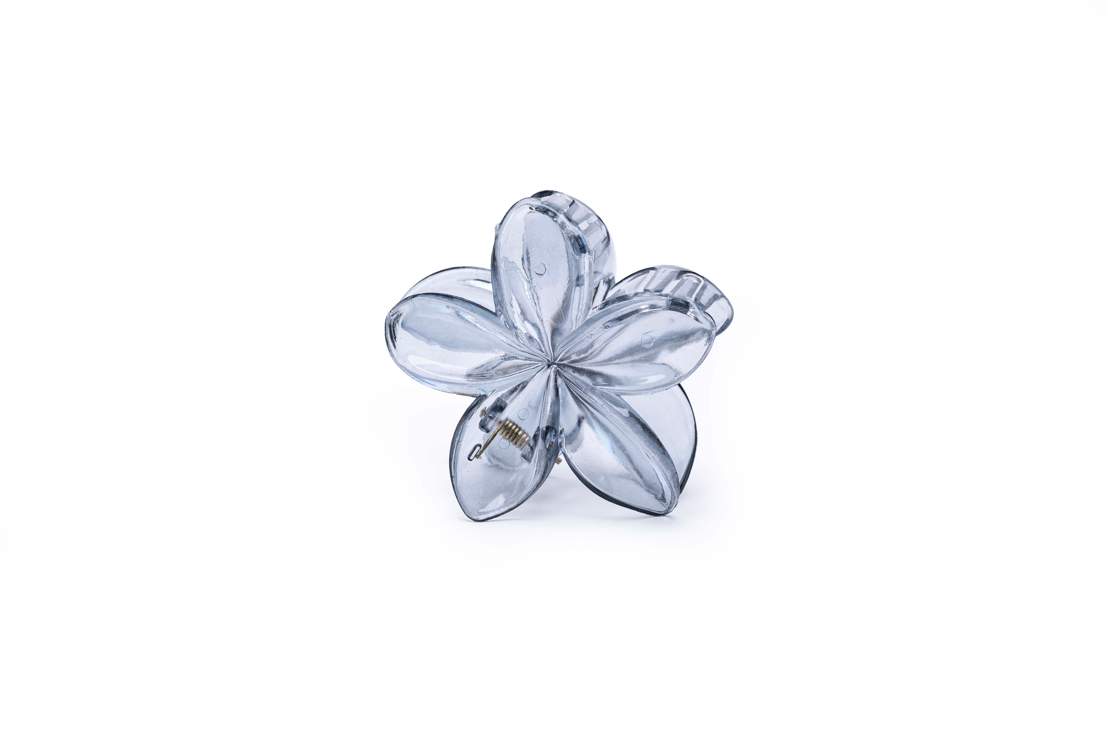 Transparent Floral - Large