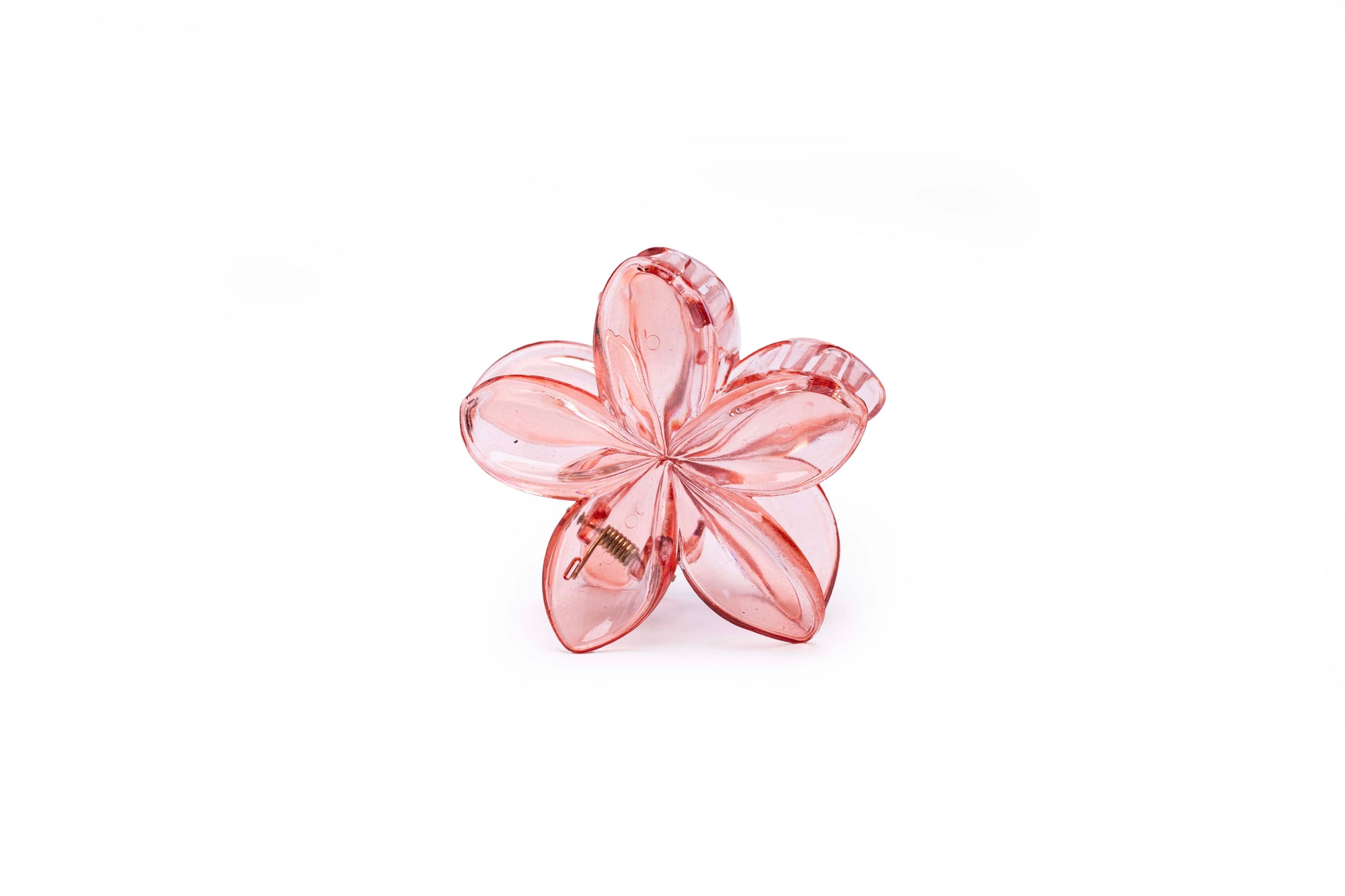 Transparent Floral - Large