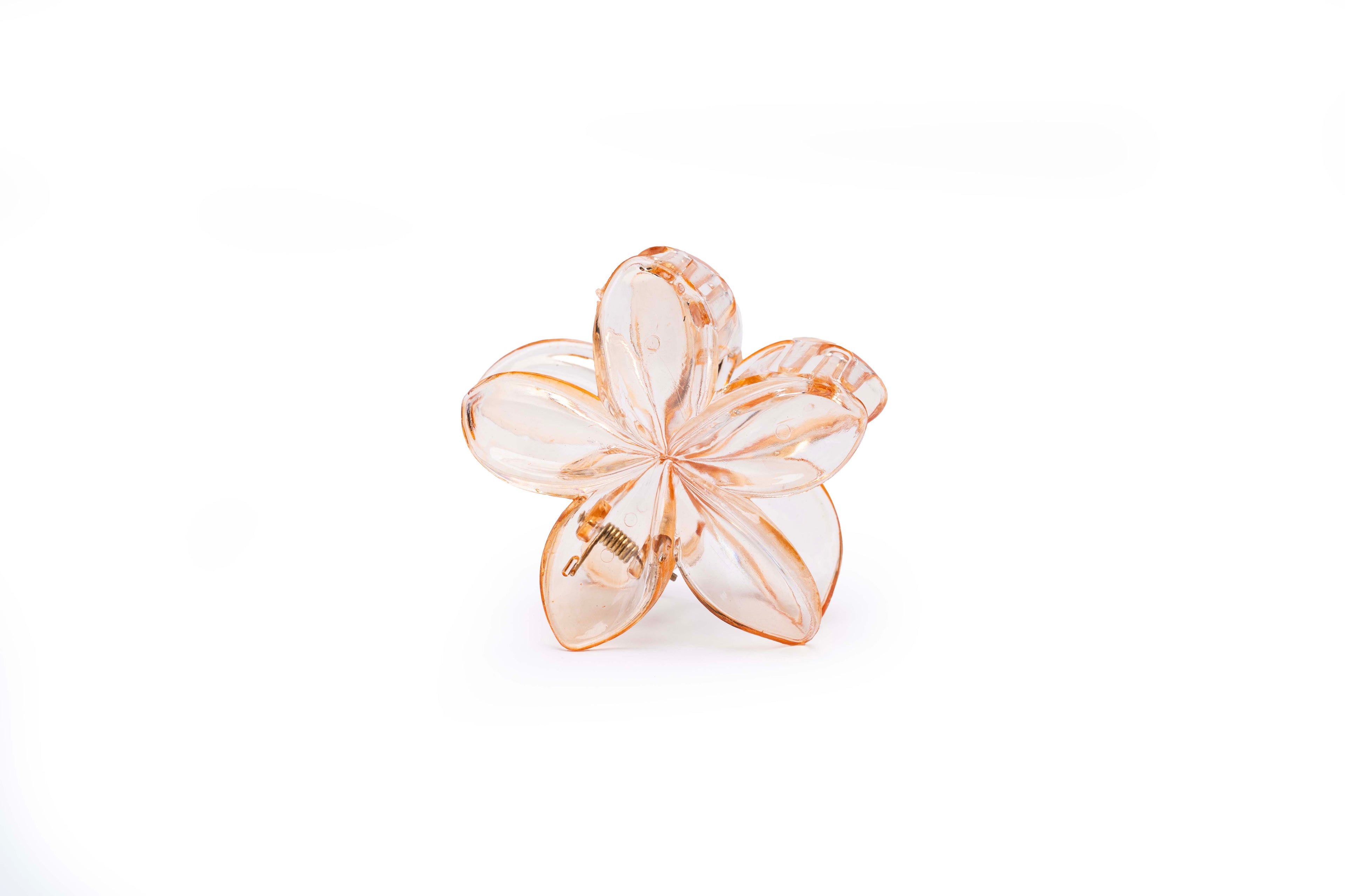 Transparent Floral - Large