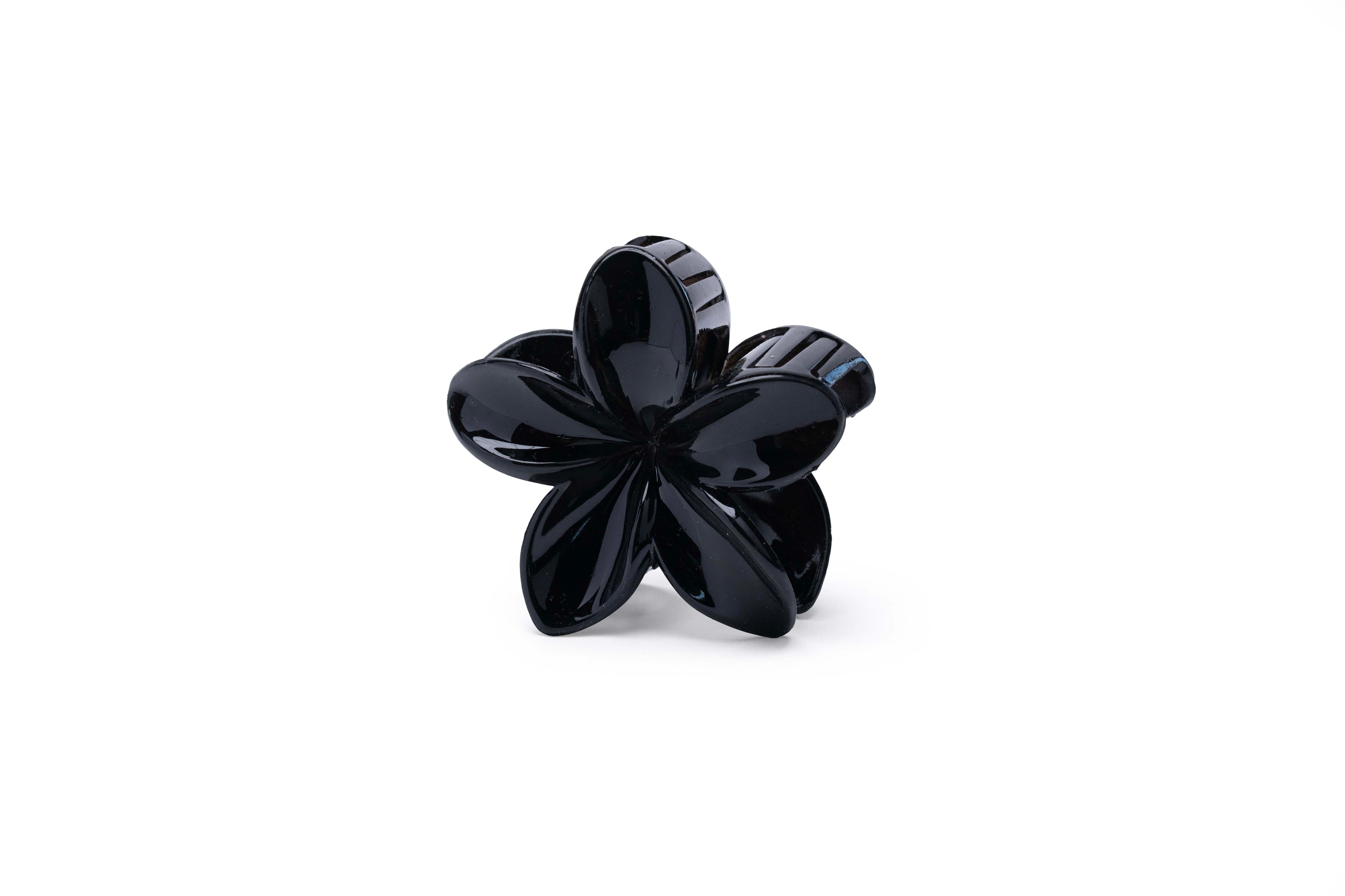 Transparent Floral - Large
