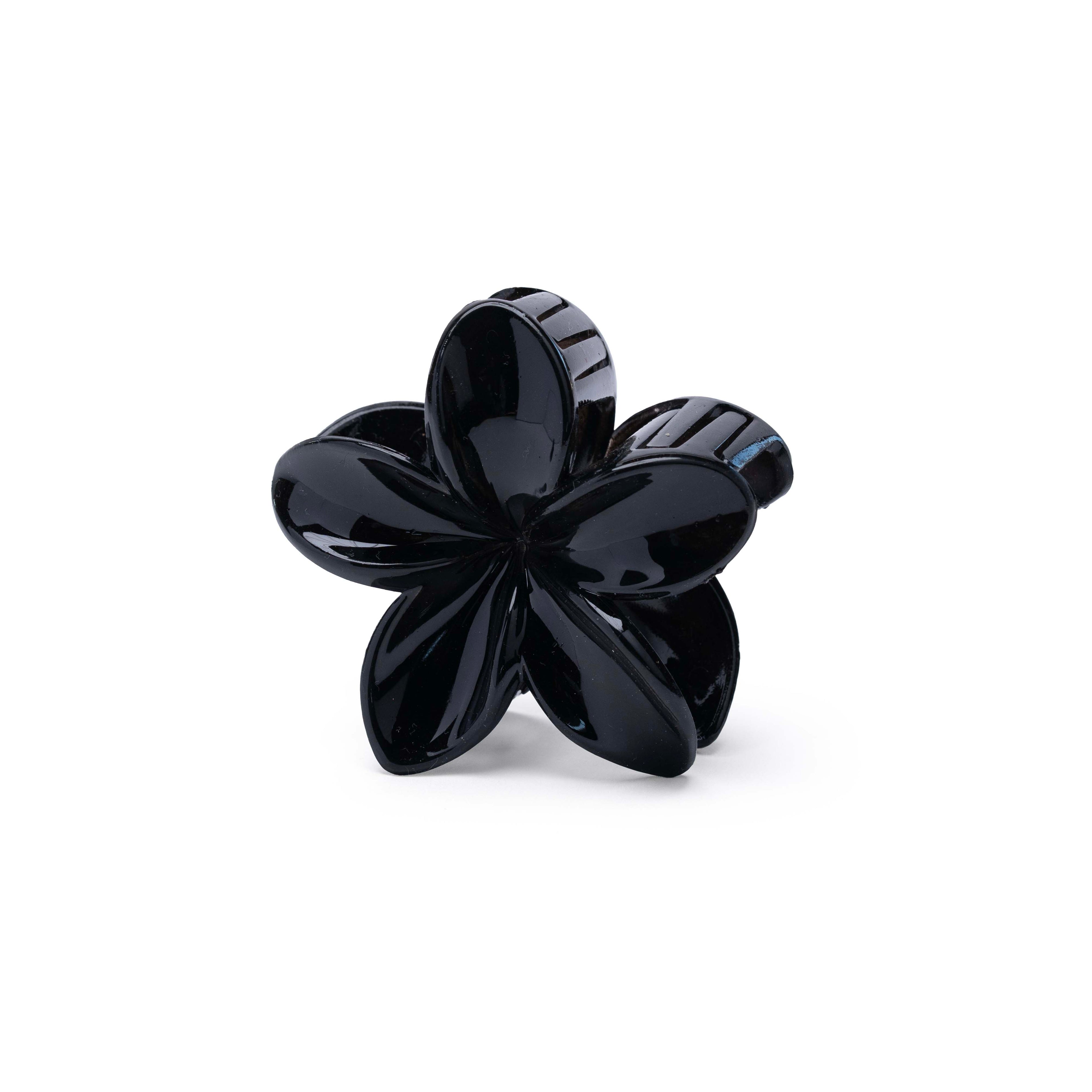 Transparent Floral - Large