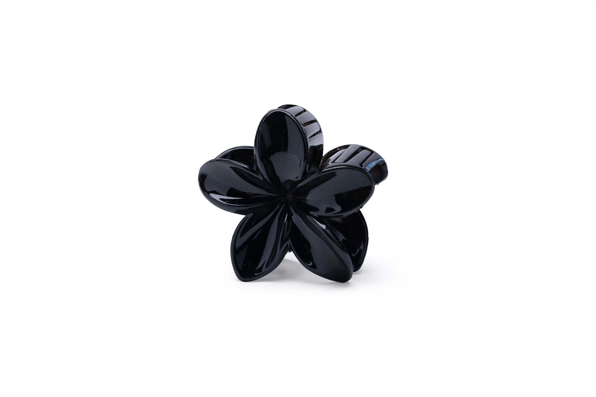 Transparent Floral - Large