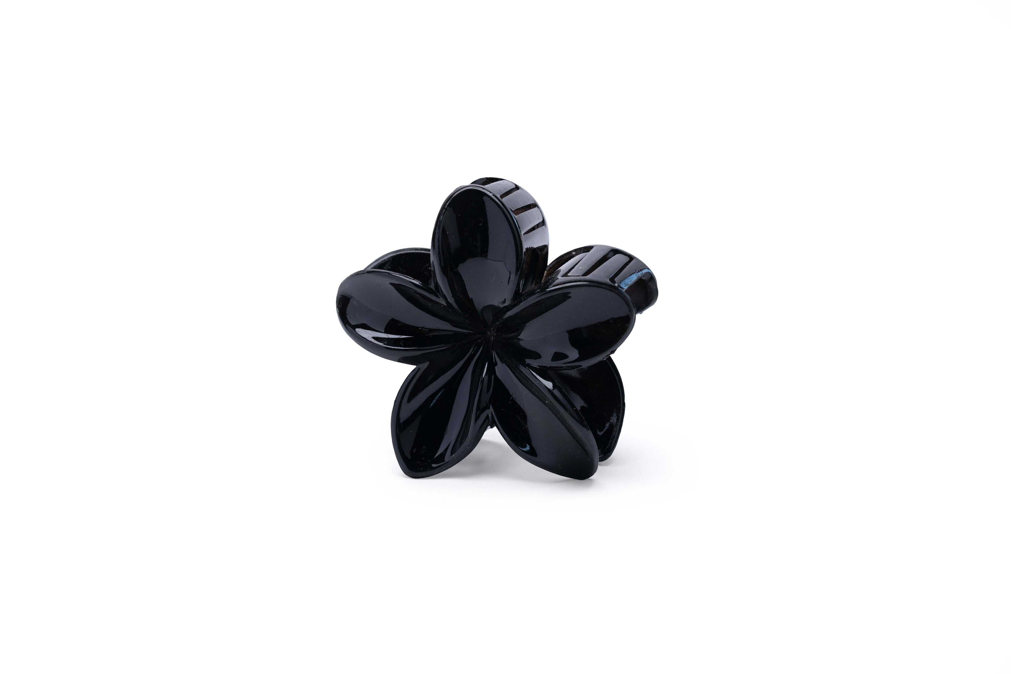 Transparent Floral - Large