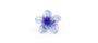 Sparkle Floral - Large