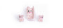 Pink Puppy Claw - SET