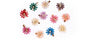 Daisy Bloom Clip