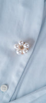 Pearl Daisy