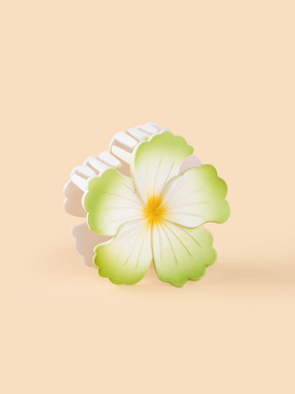 Hibiscus Matte Bloom - Large