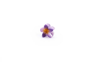 Floral Design