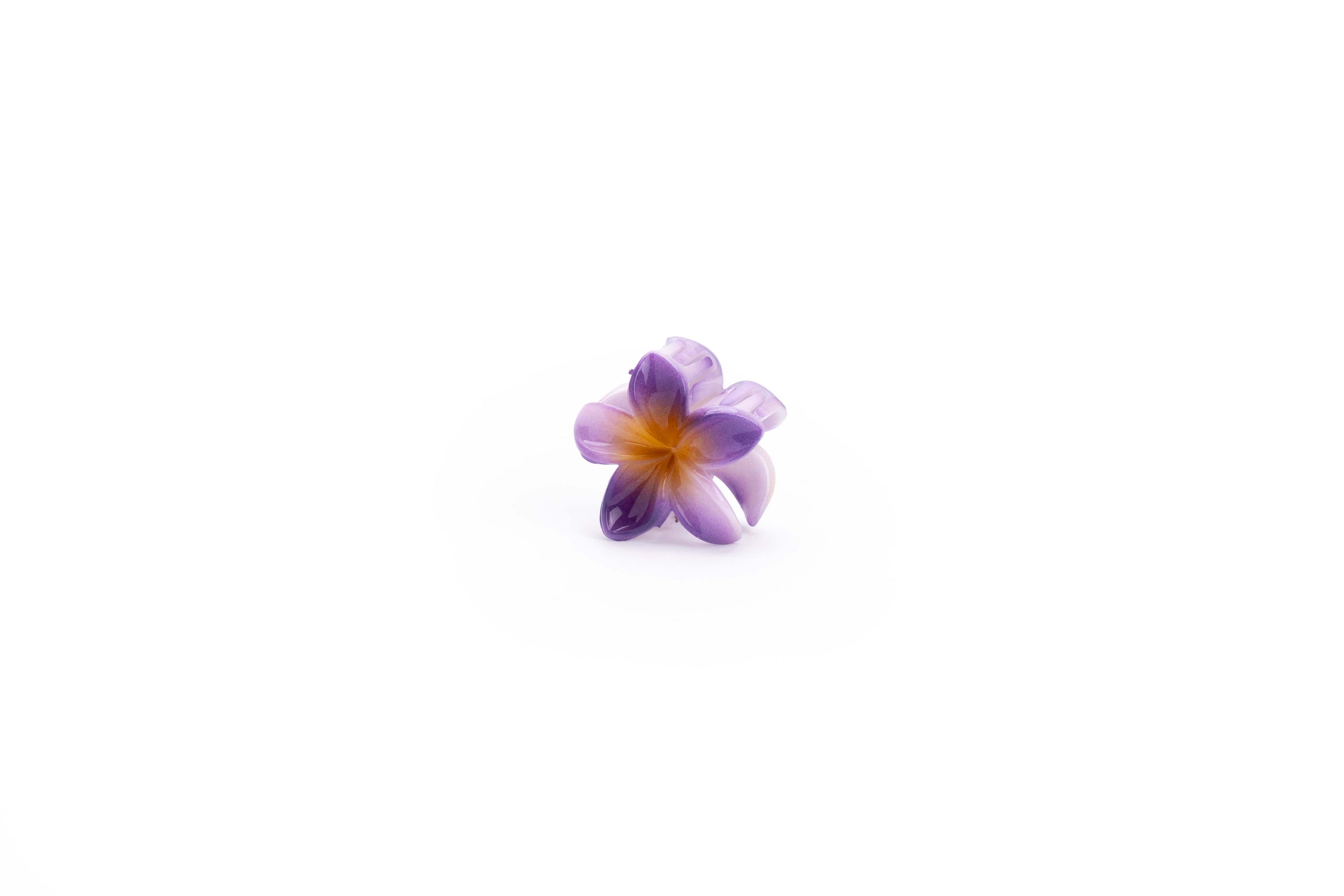 Shaded Tropical - Small