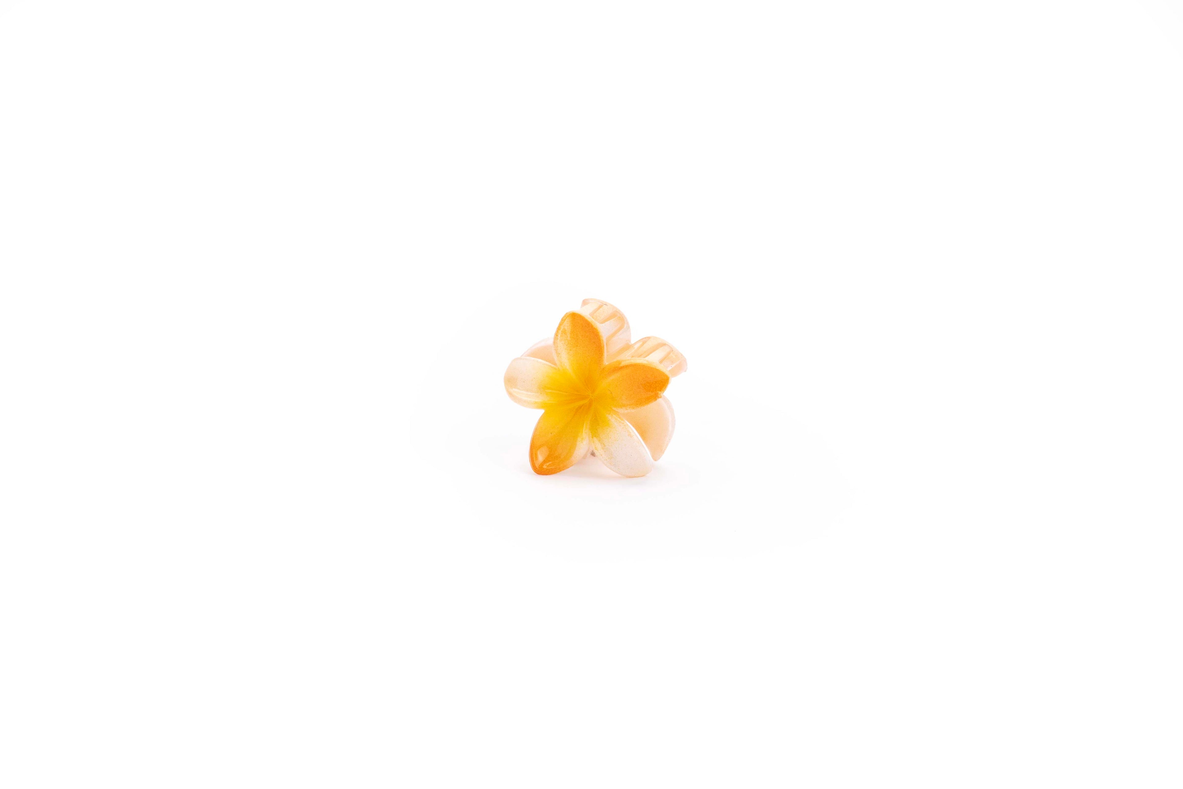 Shaded Tropical - Small