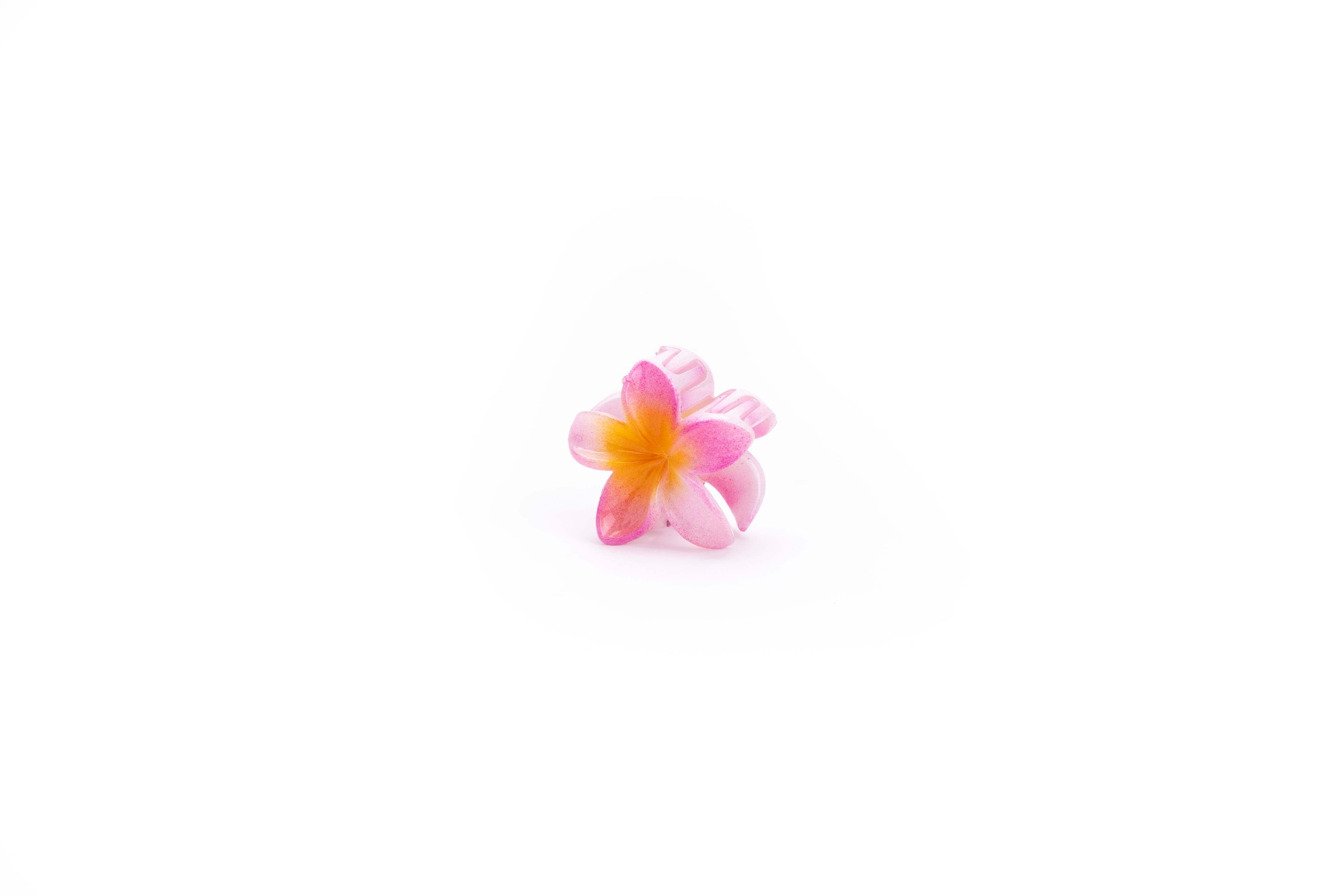 Shaded Tropical - Small