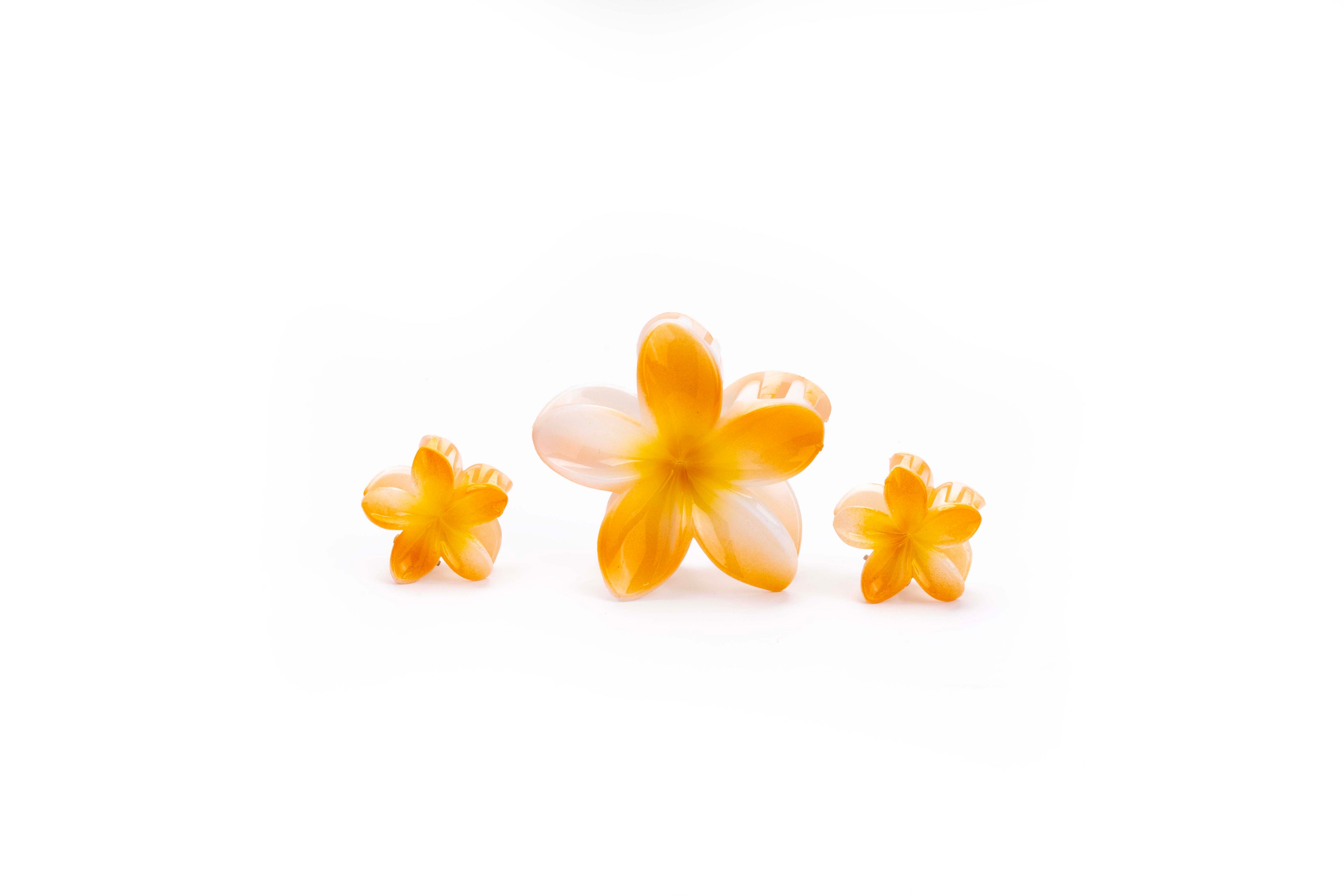 Shaded Tropical Family - SET
