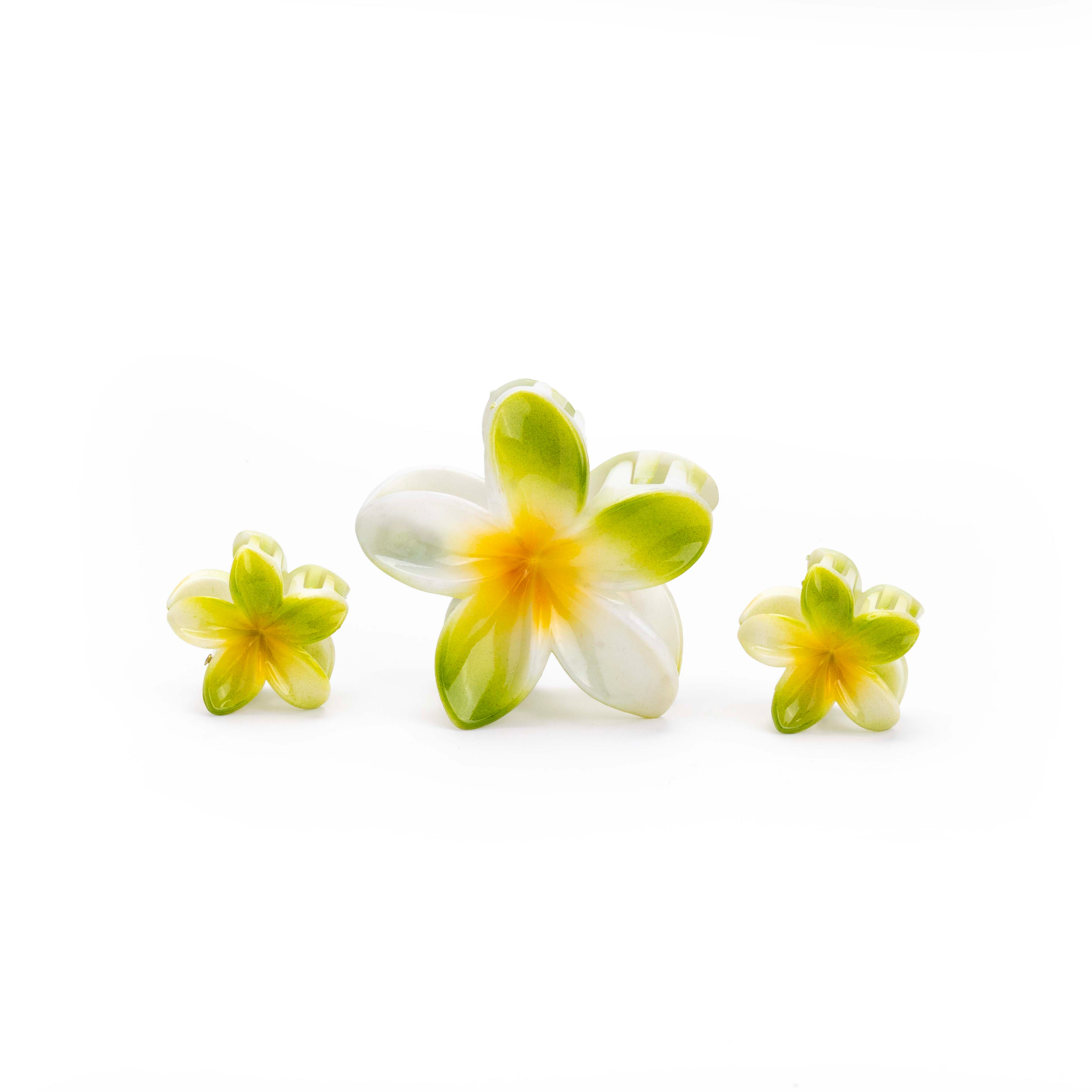 Shaded Tropical Family - SET