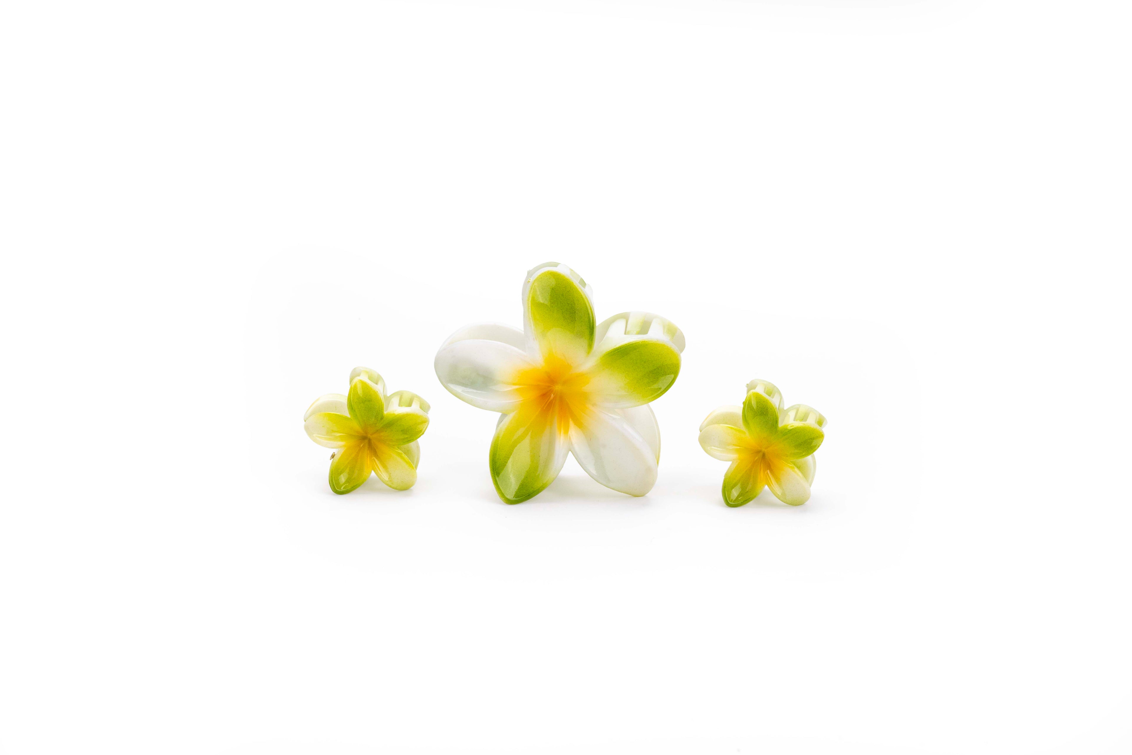 Shaded Tropical Family - SET