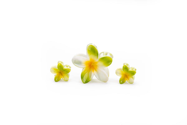 Shaded Tropical Family - SET