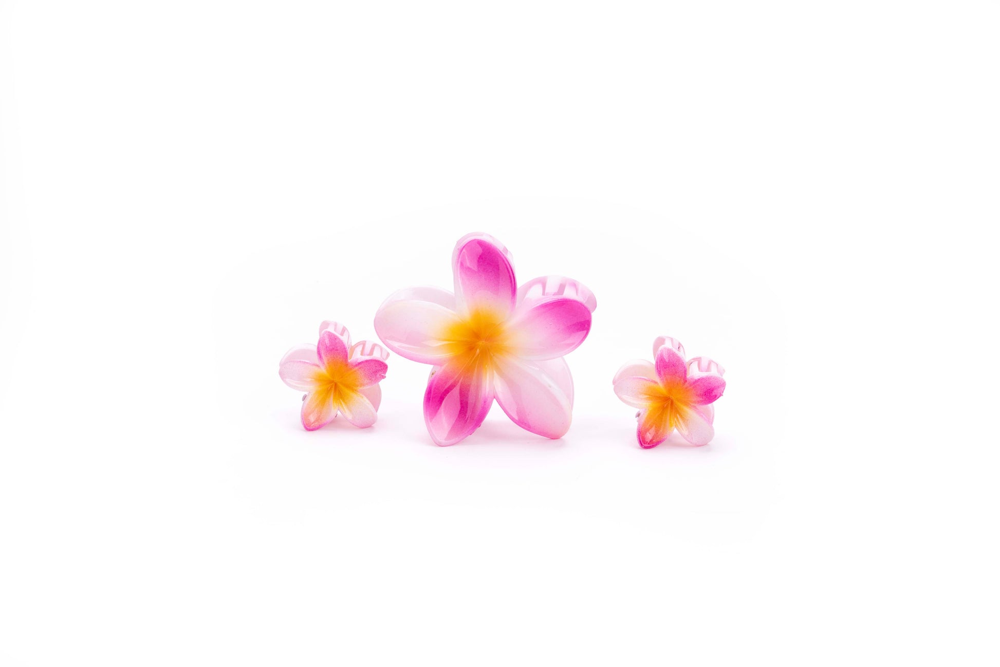 Shaded Tropical Family - SET