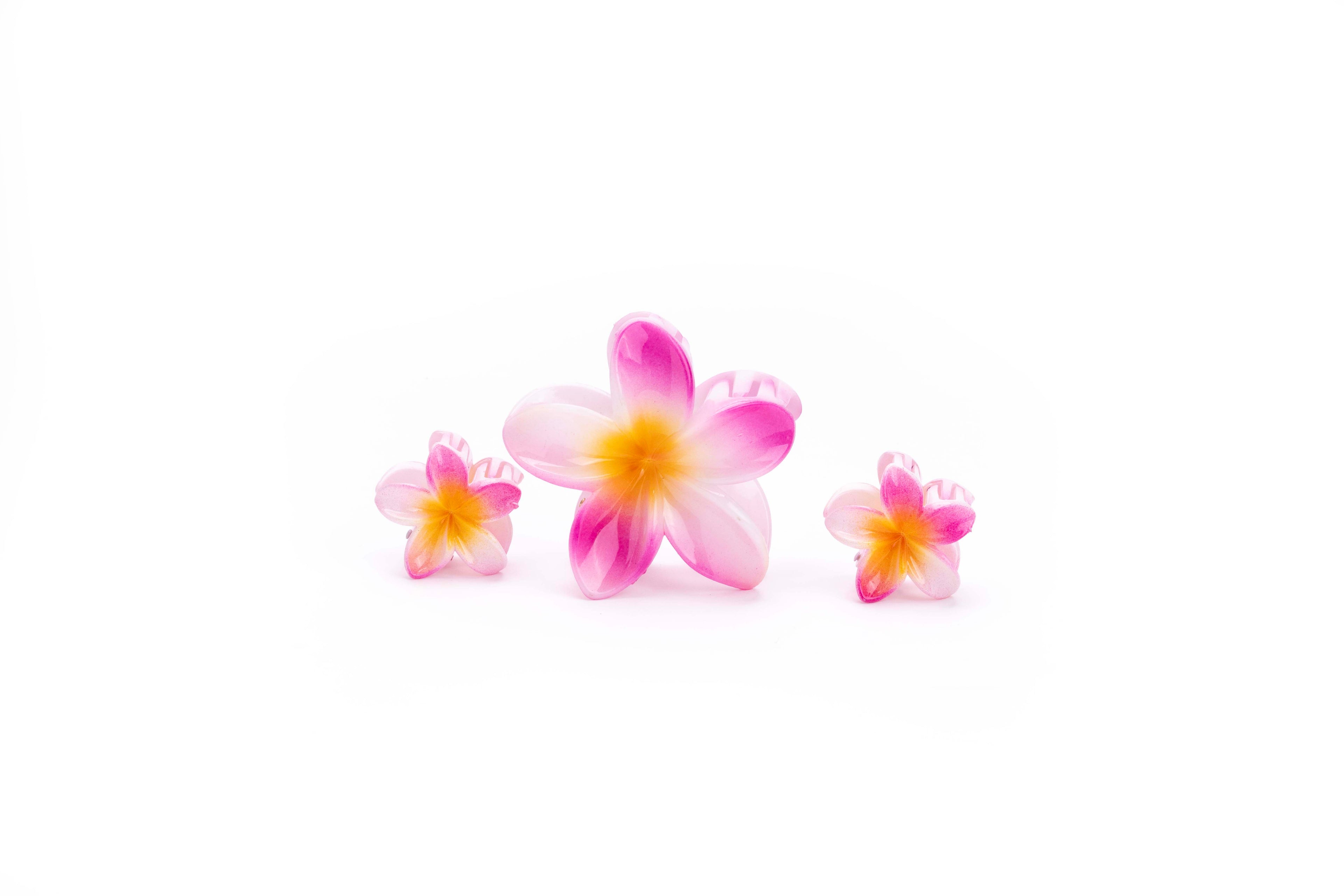 Shaded Tropical Family - SET