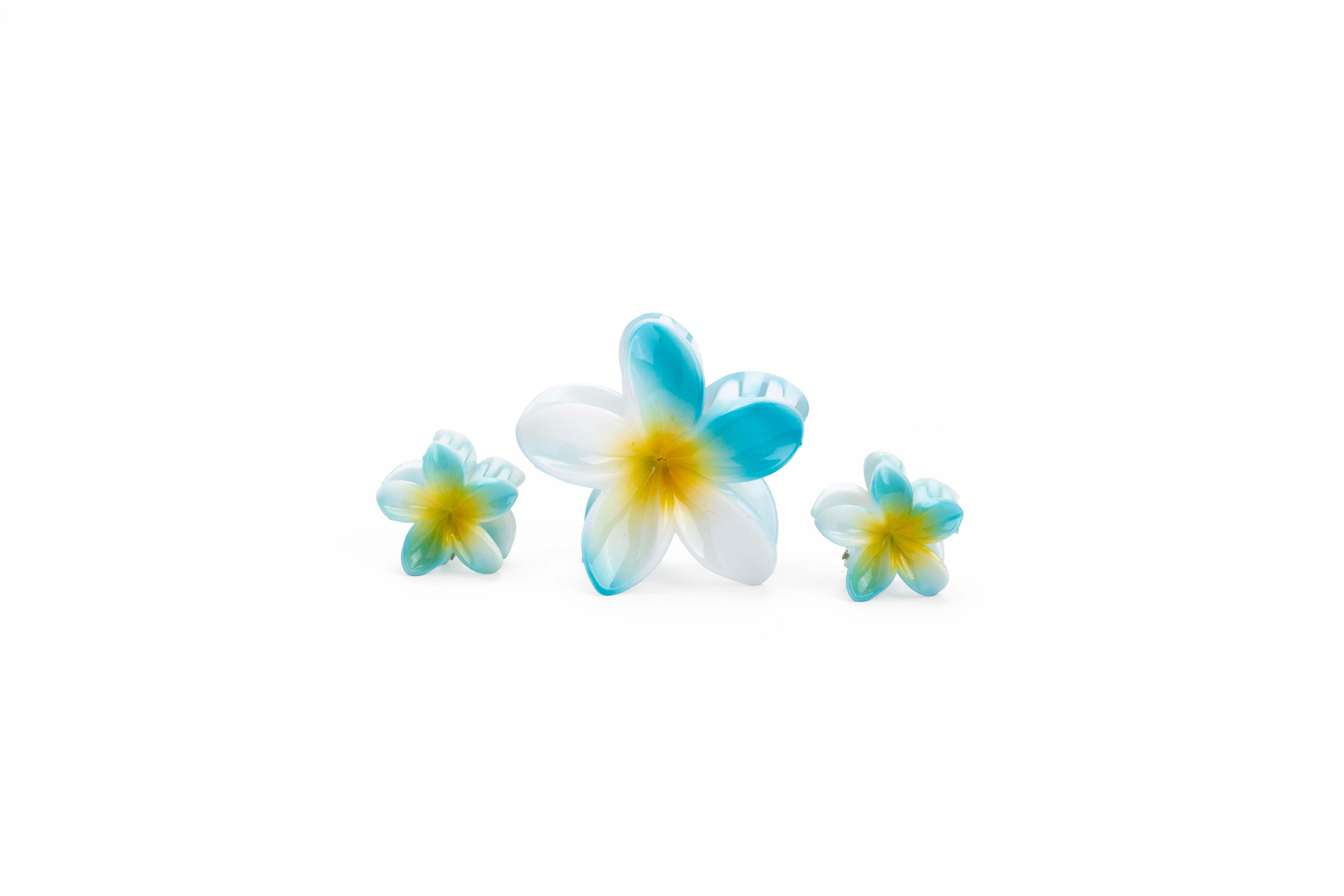 Shaded Tropical Family - SET