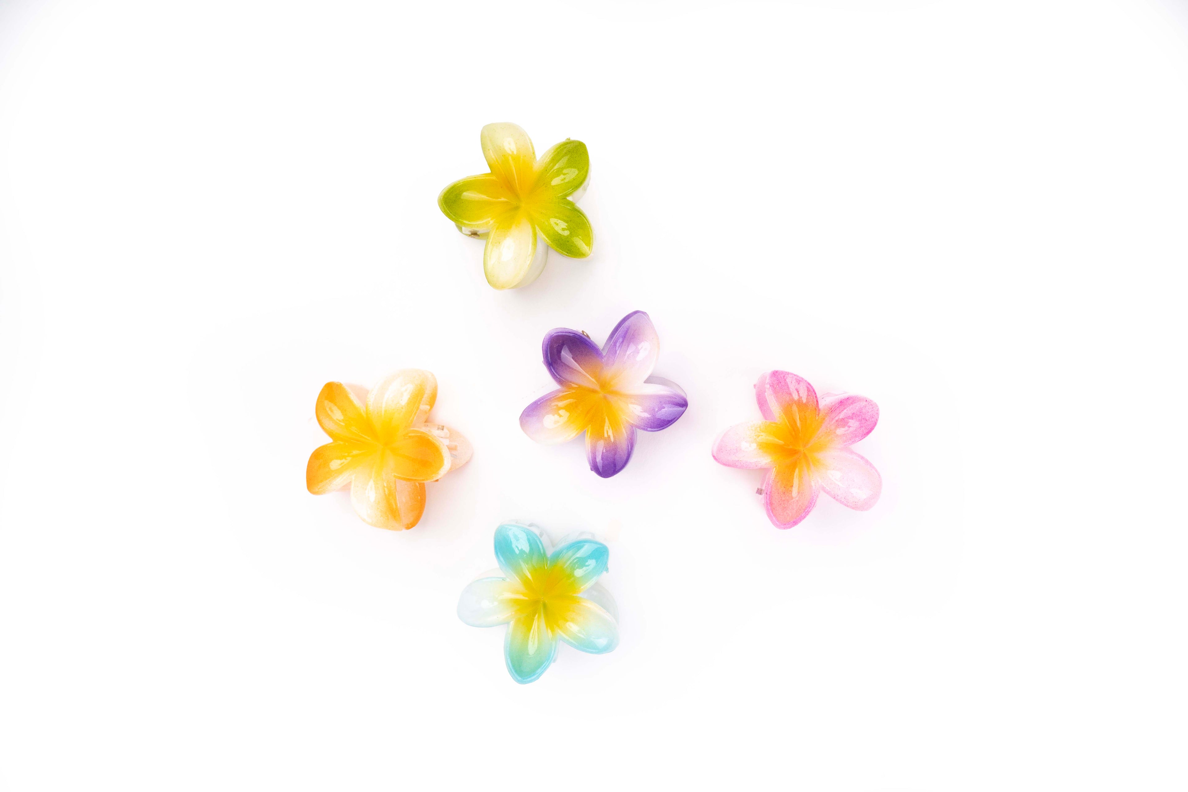 Shaded Tropical - Small