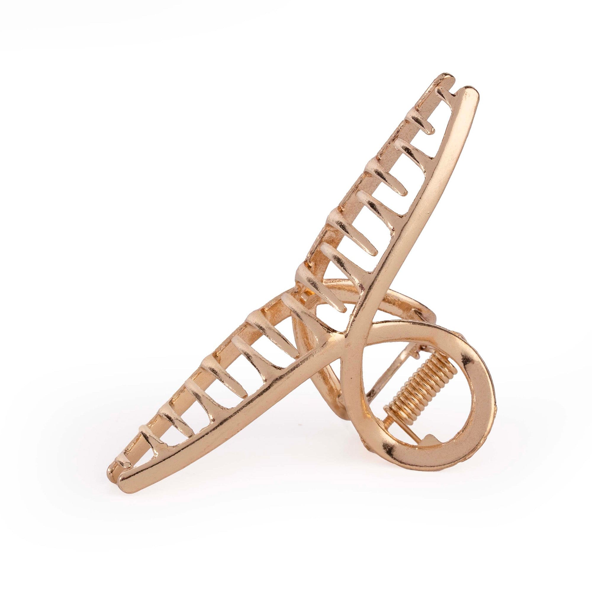 Metal Ladder Claw - Medium