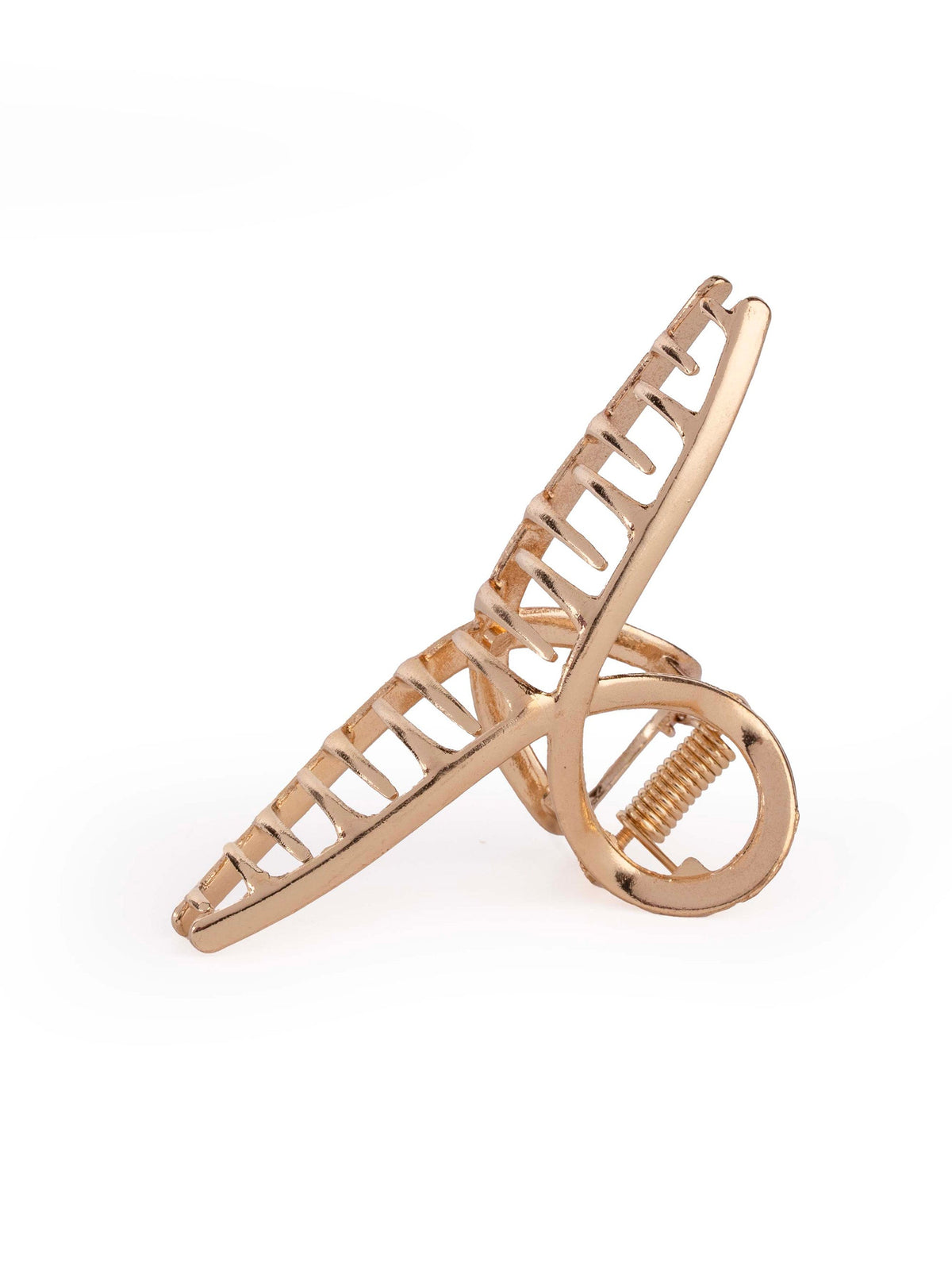 Metal Ladder Claw - Medium