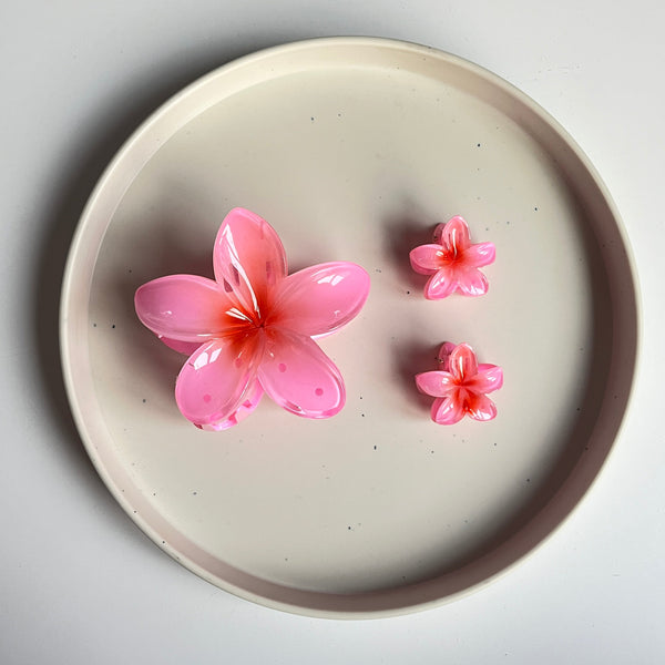 Ombre Bloom Hair Claw Set (3 Pcs)