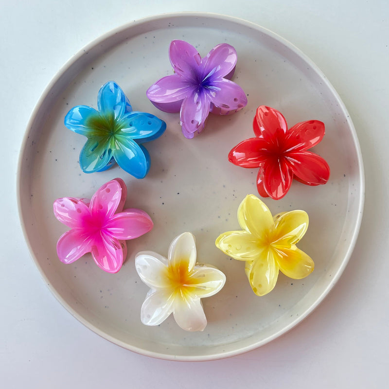 🎁 🎁 Free 5-Pc Hair Accessories Set