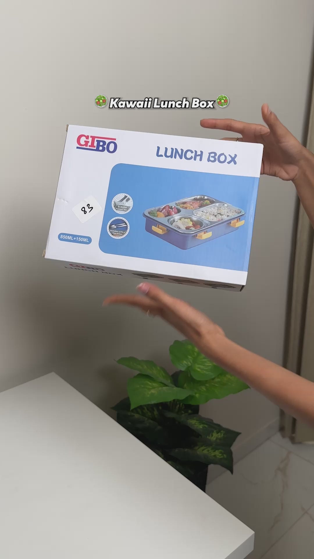 Steel Bento Lunch box